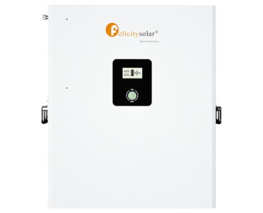 Felicity LPBF 48100-M 5Kwh battery
